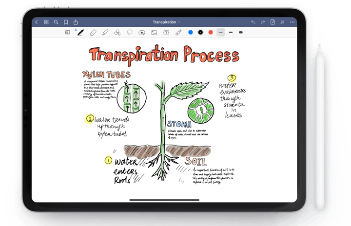 GoodNotes on an iPad.