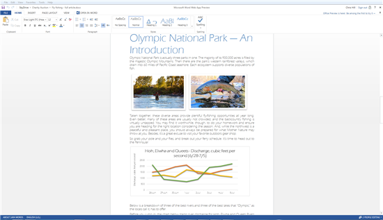 Microsoft Word web app.