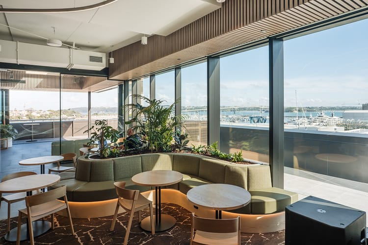 One NZ moves HQ back to town