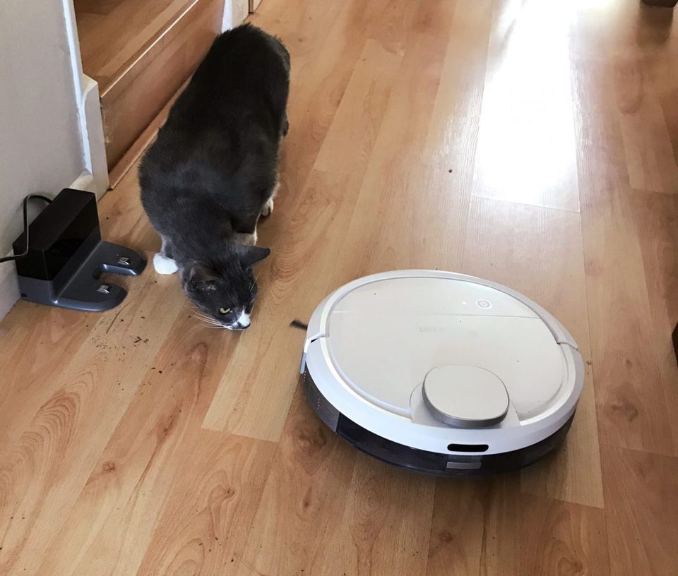 Deebot Ozmo 900: lovable robot vacuum cleaner