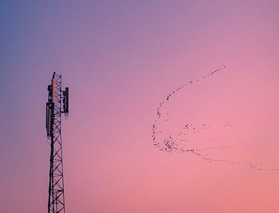 What the 700 MHz auction means for competition
